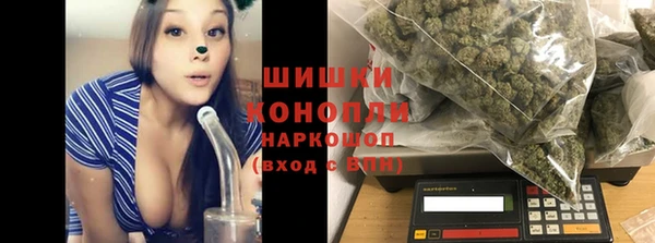 твердый Осташков