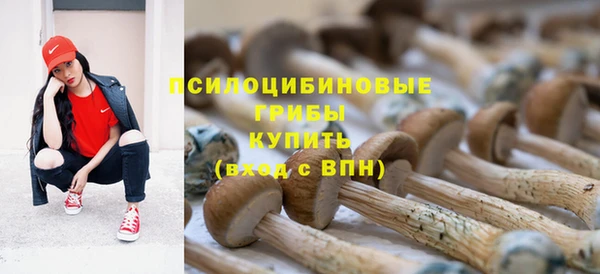 винт Нязепетровск