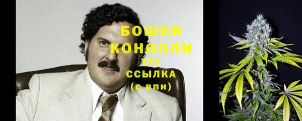 гидропоника Дубовка